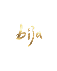 Project Bija